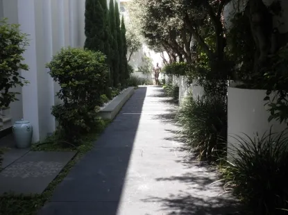 גינות לגלריה 24